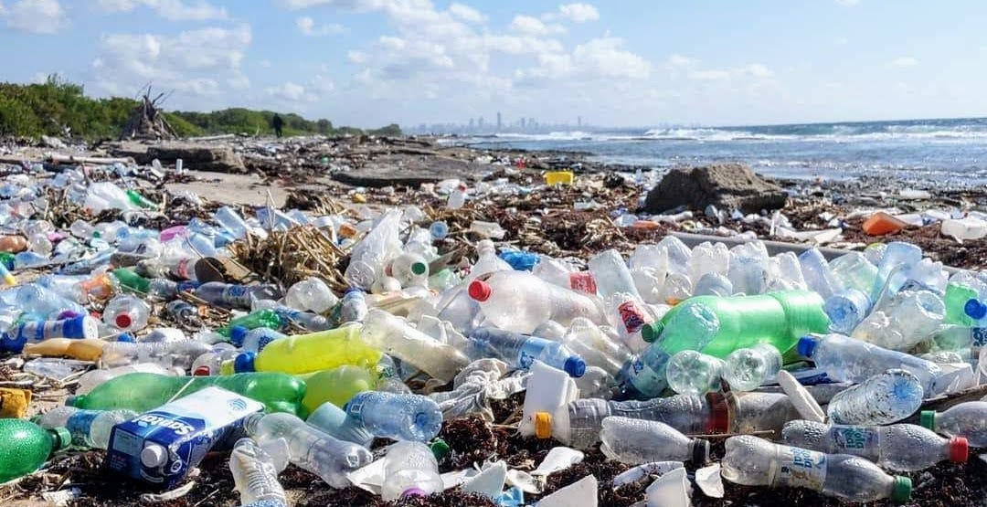 Hundreds of single use plastic water bottles washed up on a beach. Hundreds of single use plastic water bottles washed up on a beach.