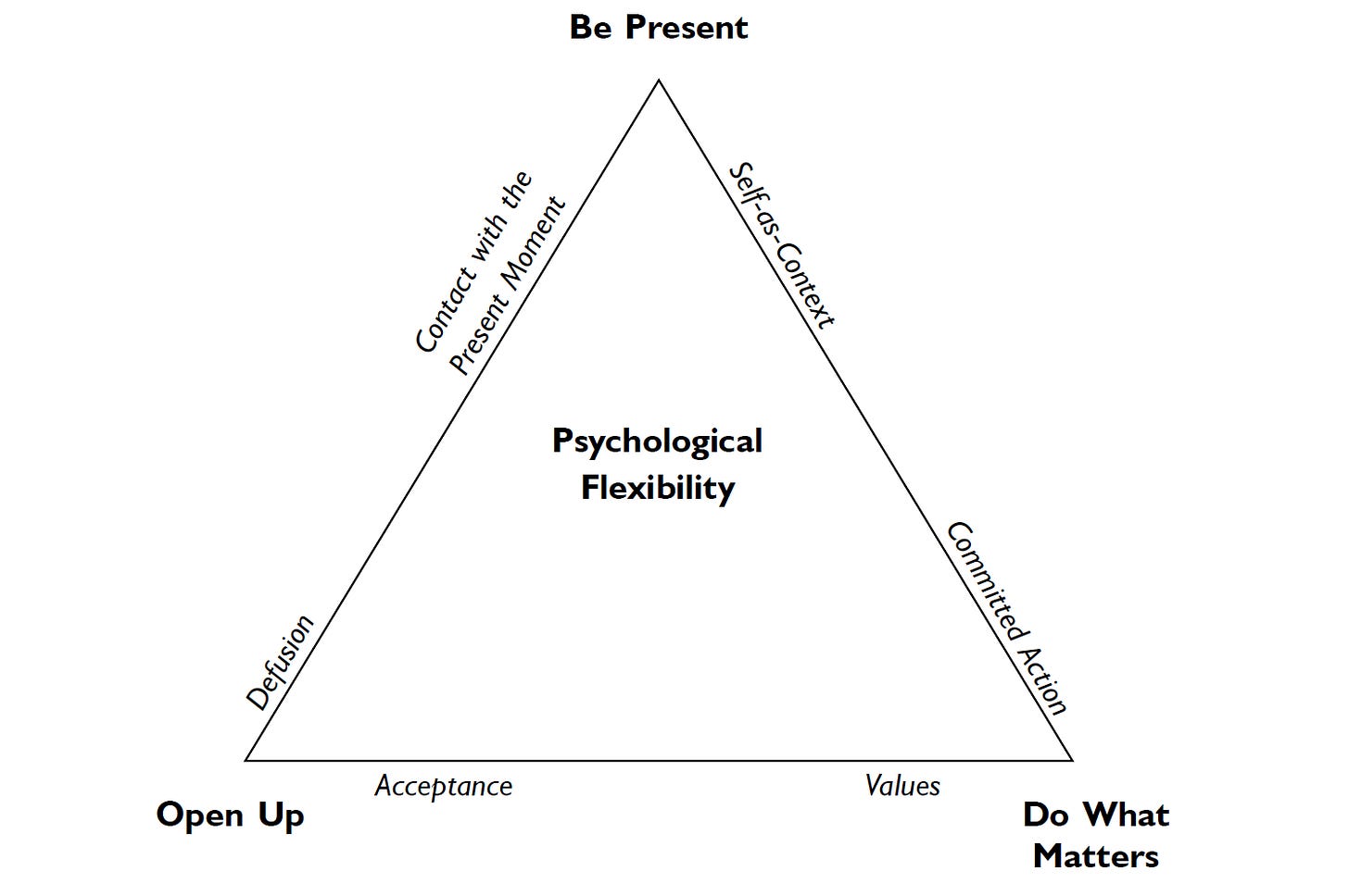 Acceptance & Commitment Therapy