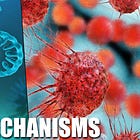 The Harms and Mechanisms of the COVID Genetic Experiment