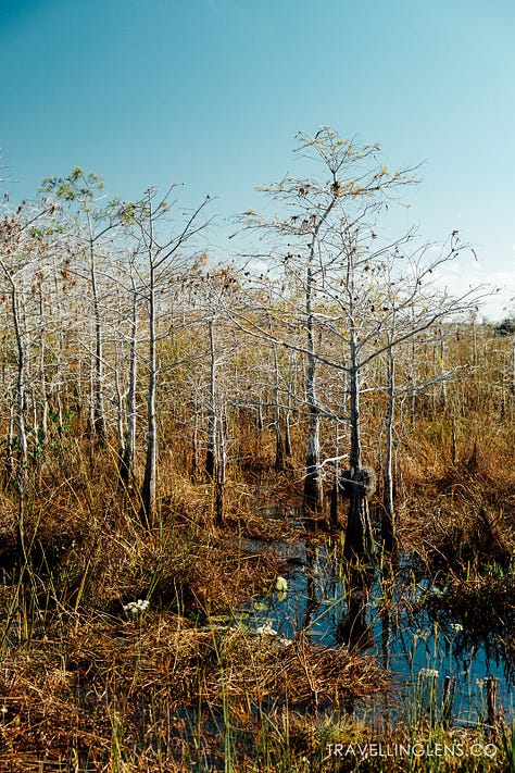 Trails around Everglades National Park