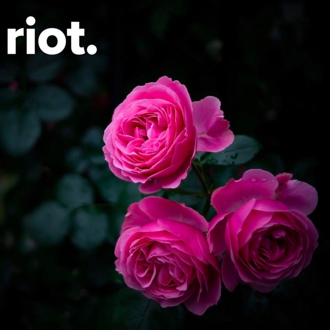 speedrunning spacetime