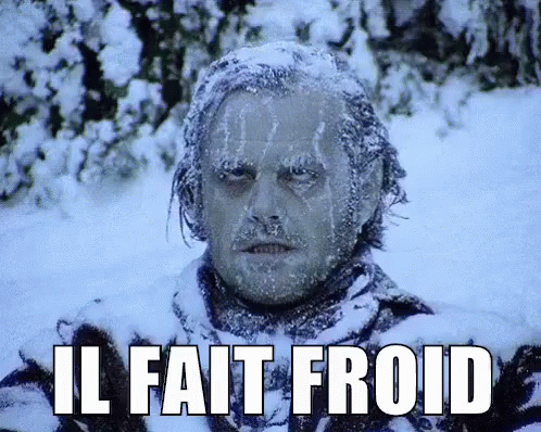 Il Fait Froid GIF - Il Fait Froid - Discover & Share GIFs