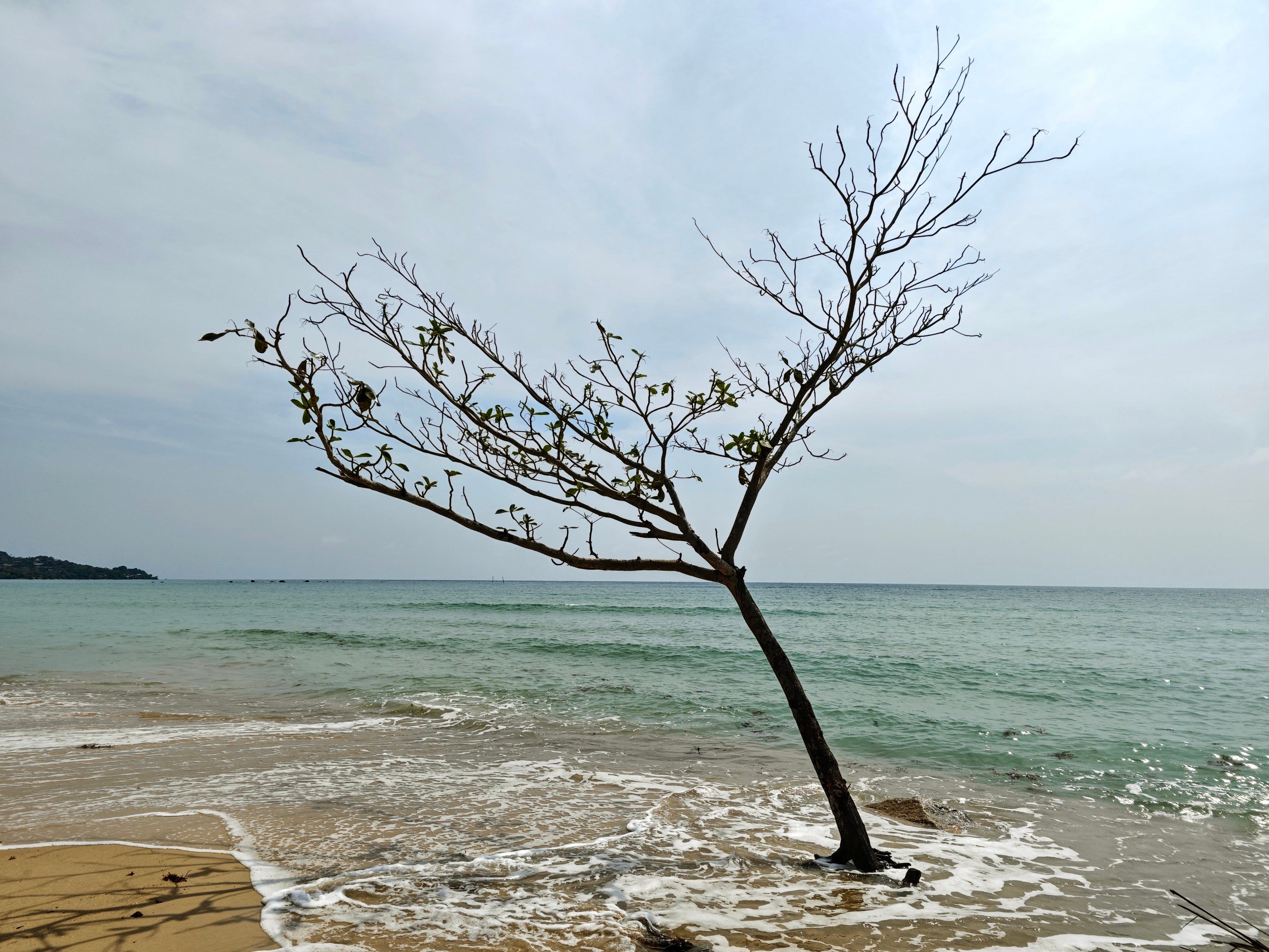 Roads? Where we're going, we don't need roads