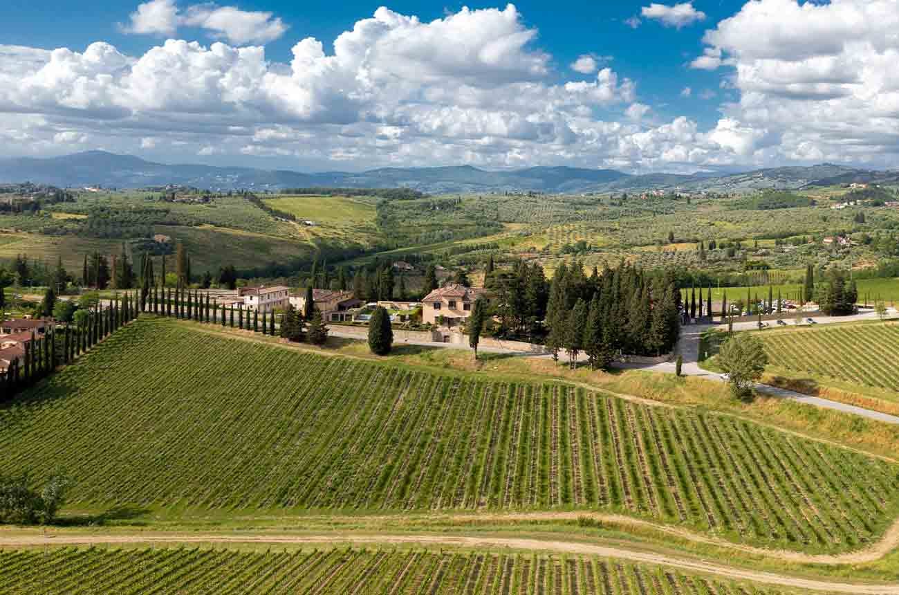 Ruffino: Brilliance through innovation - Decanter