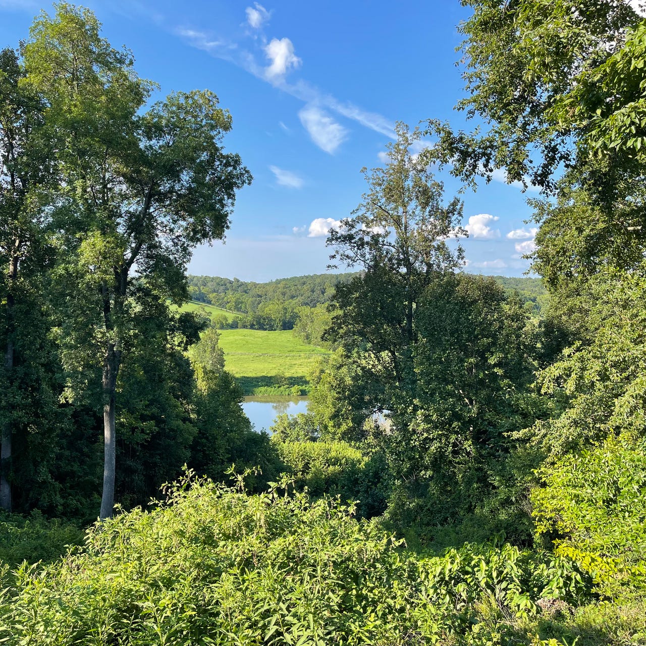 Shenandoah Sodbuster