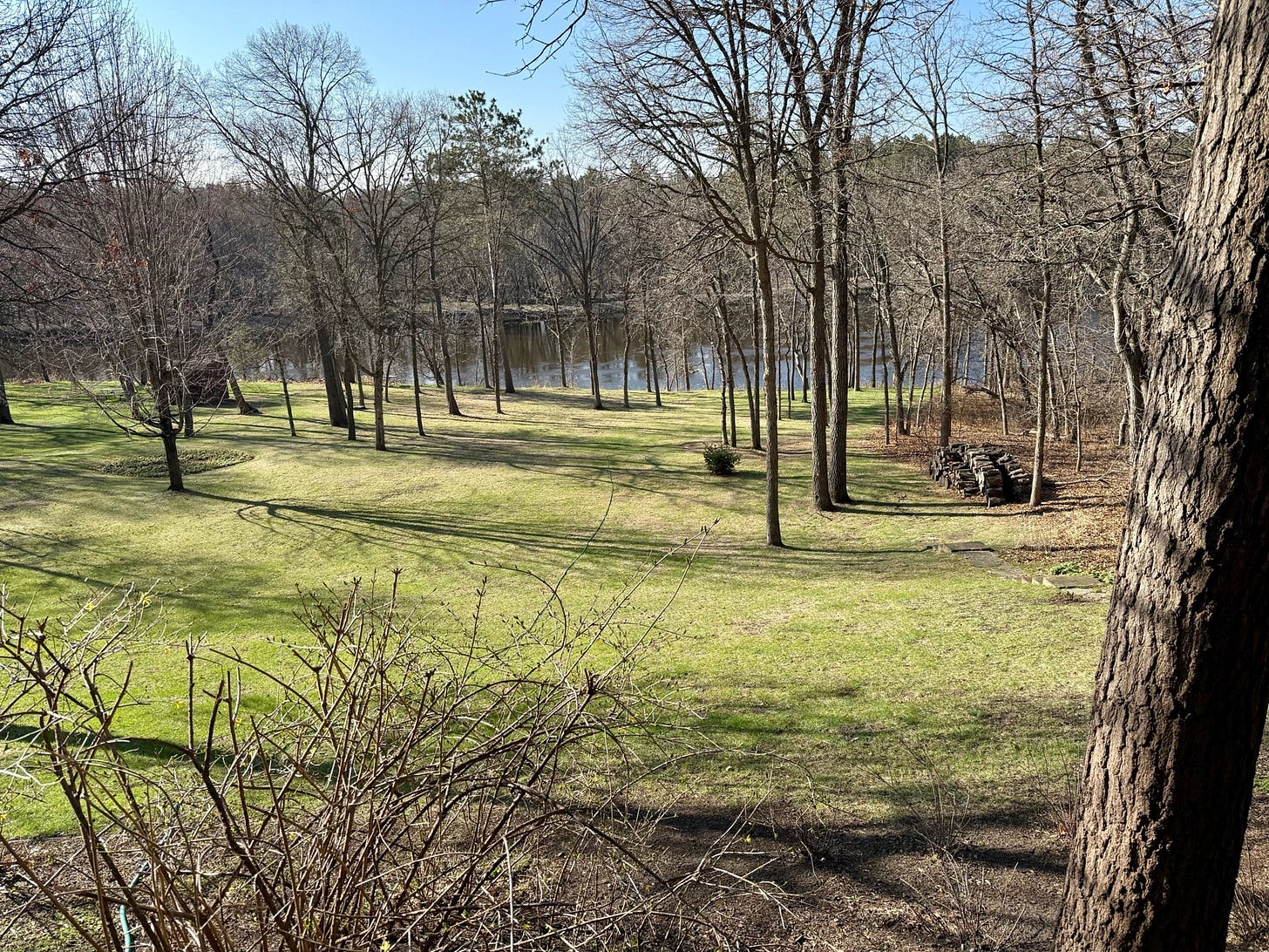 A grassy area with trees and a lake

AI-generated content may be incorrect.