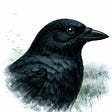 Corvid Vetelus's avatar