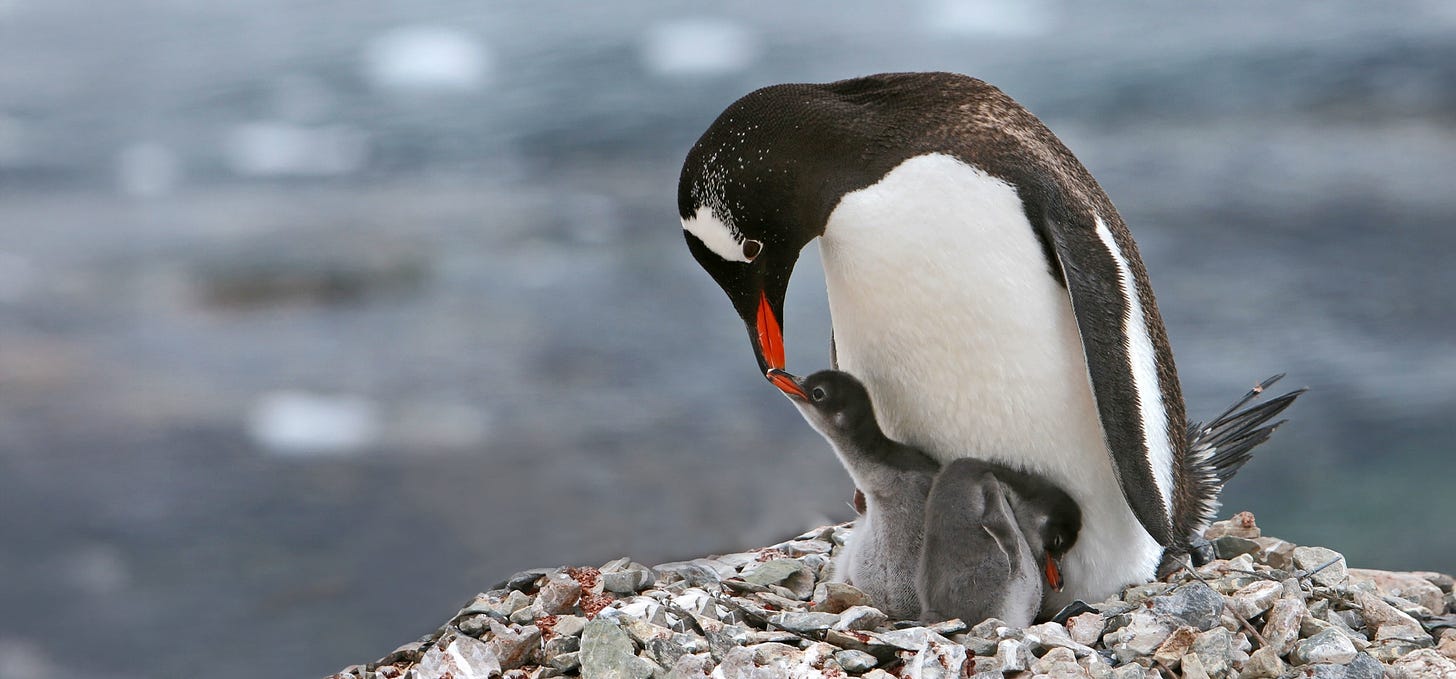 Article content Article content