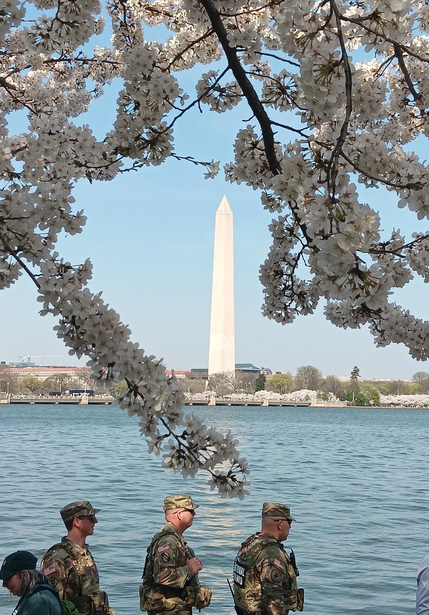 National guard soldiers walk around the Tidal Basin with cherry blossoms and the Washington Monument in the frame.