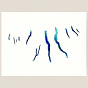 Laurie Schmeer's avatar