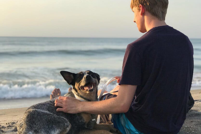 Scout and Sean sitting on the dog-friendly section of Cocoa Beach just after sunrise