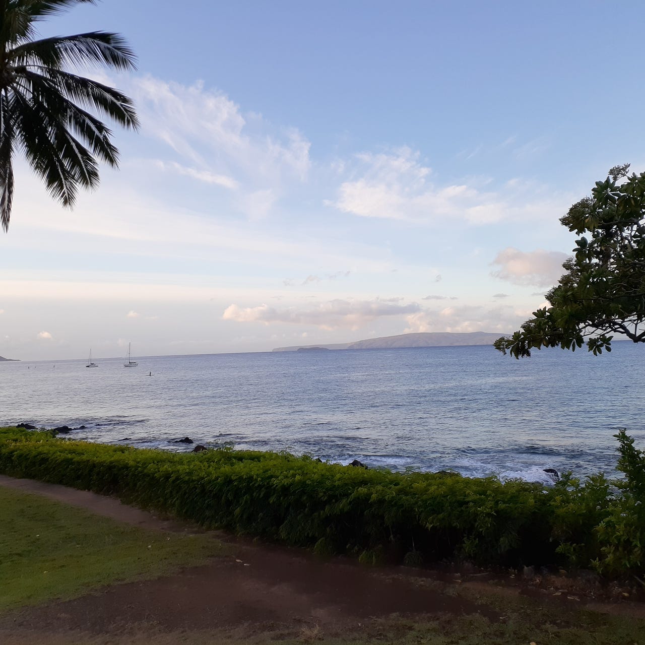 Roxanne’s Substack