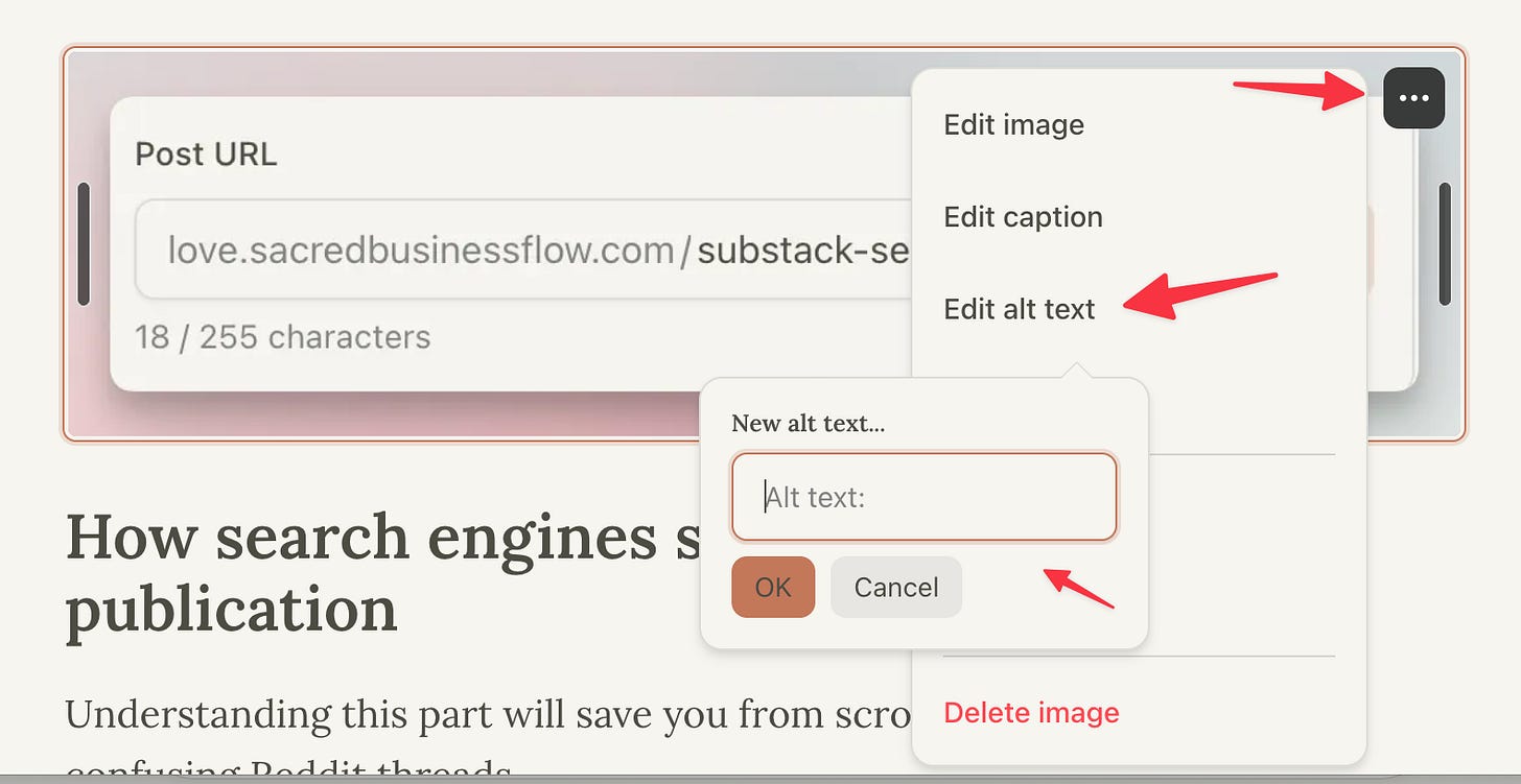 Adding keyword-rich alt text to an image inside the Substack post editor