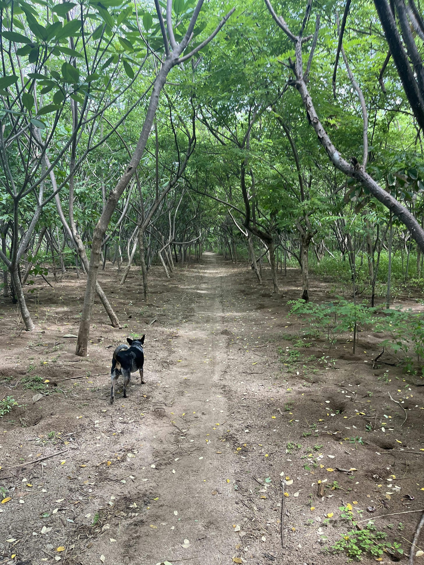 037: Loving What You Have, Having What You Love! 037: Loving What You Have, Having What You Love!