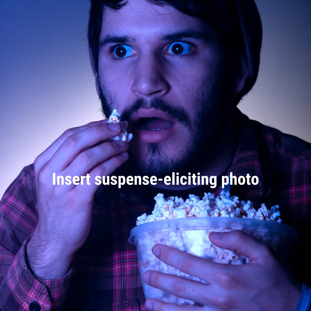 Party Details, Fat Bears, and a Midwestern Man of Mystery Party Details, Fat Bears, and a Midwestern Man of Mystery