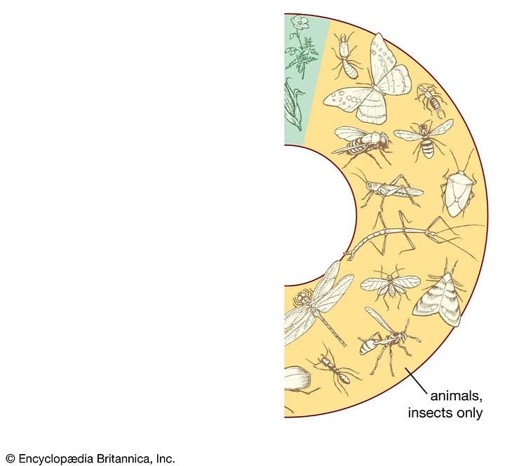 Two images of a wheel of life. One is chopped in half, the other has 15 segments removed every few degrees. The result is that half has been removed, but the shape is still visible.
