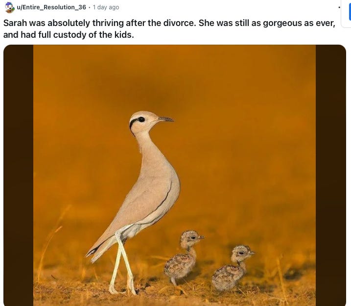 An elegantly slender bird poses on dry grassland with her two chicks, with the caption, “Sarah was absolutely thriving after the divorce. She was still as gorgeous as ever as ever, and had full custody of the kids.”