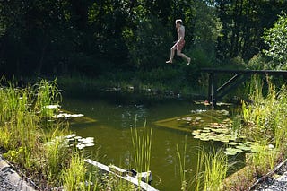 Organic Pools by David Pagan Butler | Substack