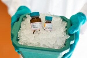 Treatment with the drugs rapamycin and trametinib together can prolong the life of mice.