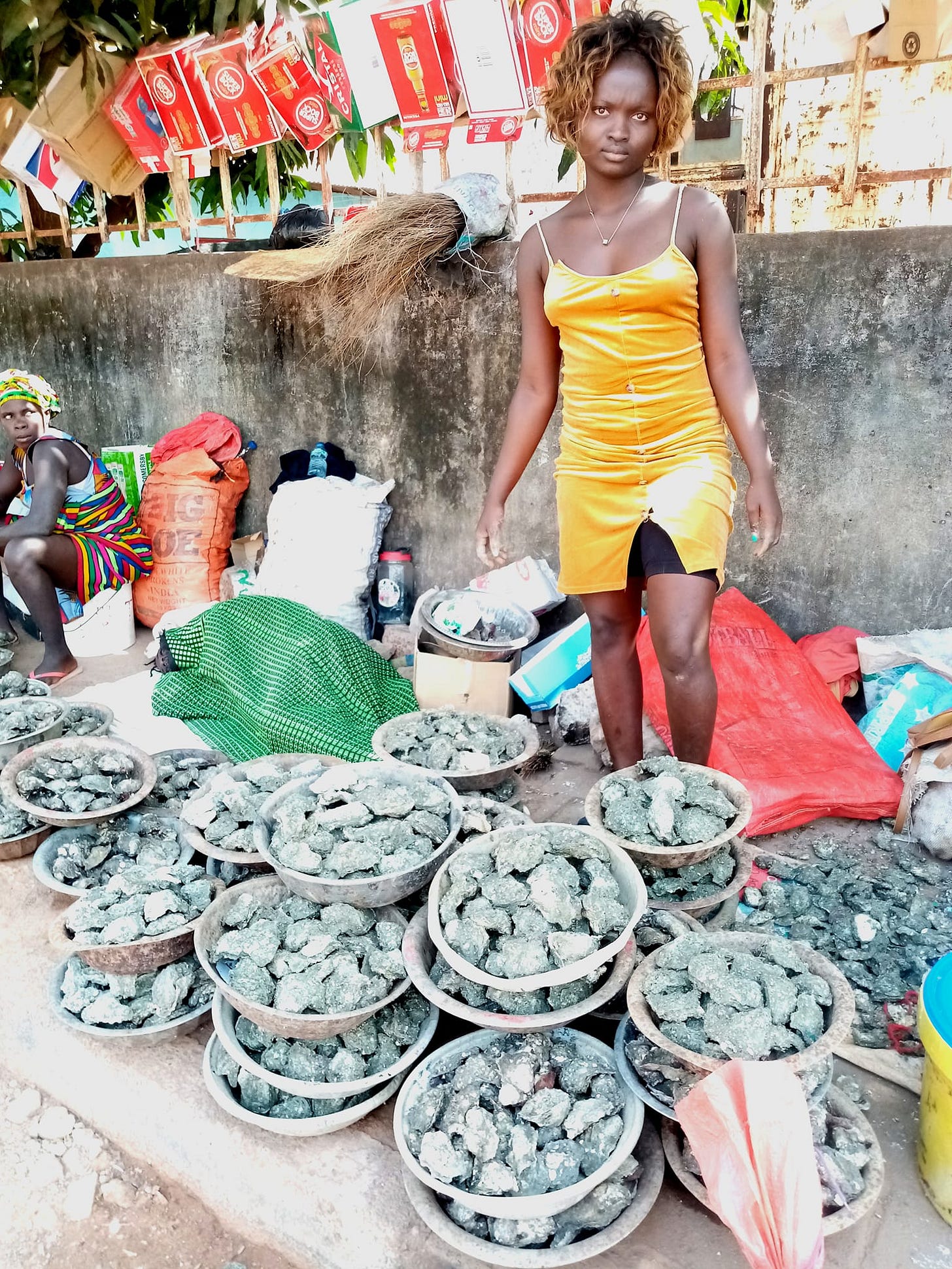 No photo description available.