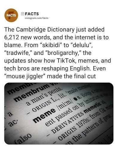 The flood of additions shows how dictionaries are no longer just  record-keepers but active mirrors of culture. From TikTok slang to  political labels, the Cambridge Dictionary's choices reveal how meme : Second Language Strategies