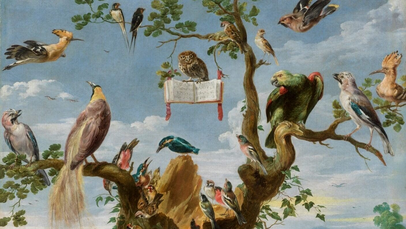 Outdoors Online: The Art of Birds in Flight | Natural Lands | Natural Lands
