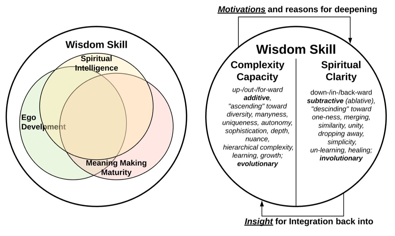 Wisdom Development The Necessary Descent - by Daniel Thorson