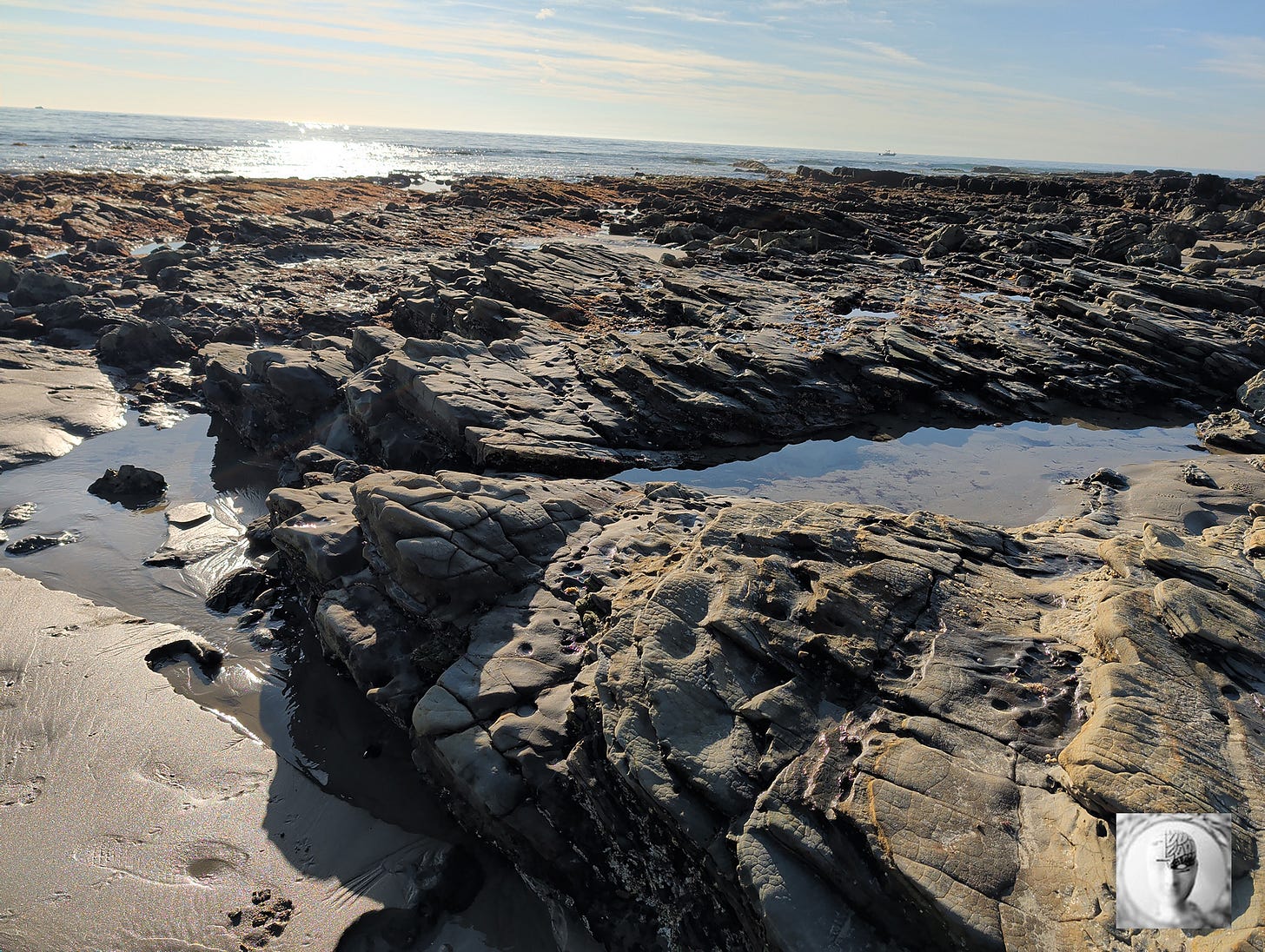 Bedrock tidepools ocean