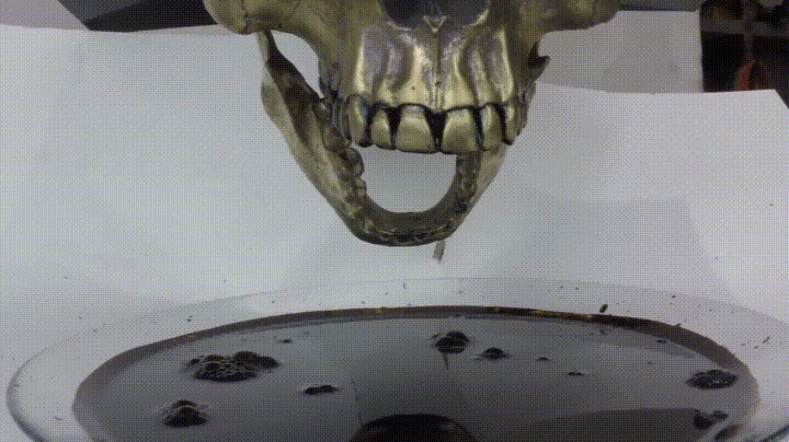 Ferrofluid reacting to a skull on Make a GIF