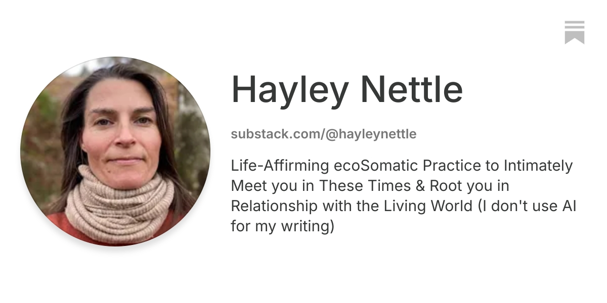 Hayley Nettle | Substack