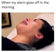250 Best Work Memes ideas | work memes, work humor, humor 250 Best Work Memes ideas | work memes, work humor, humor