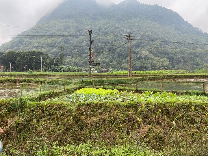 pictures of islands and homesteads