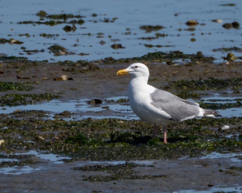 20250610-SJI3-1191-Edit-Edit.jpg 20250610-SJI3-1191-Edit-Edit.jpg