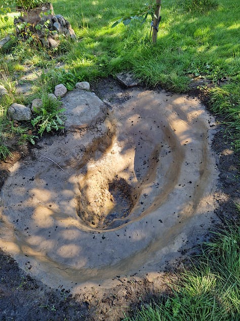 Stages of pond digging and filling with water