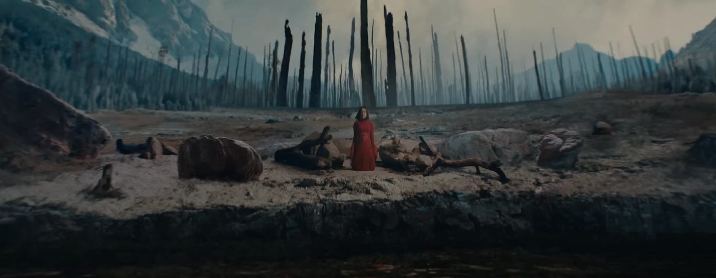 captura de tela do clipe "Mitski - The Only Heartbreaker". uma mulher asiática de cabelos pretos, com um vestido vermelho bem chamativo, se ajoelha no centro da imagem, tendo ao seu redor um terreno completamente devastado e queimado do que um dia foi uma floresta.