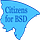 BSD Debrief Newsletter