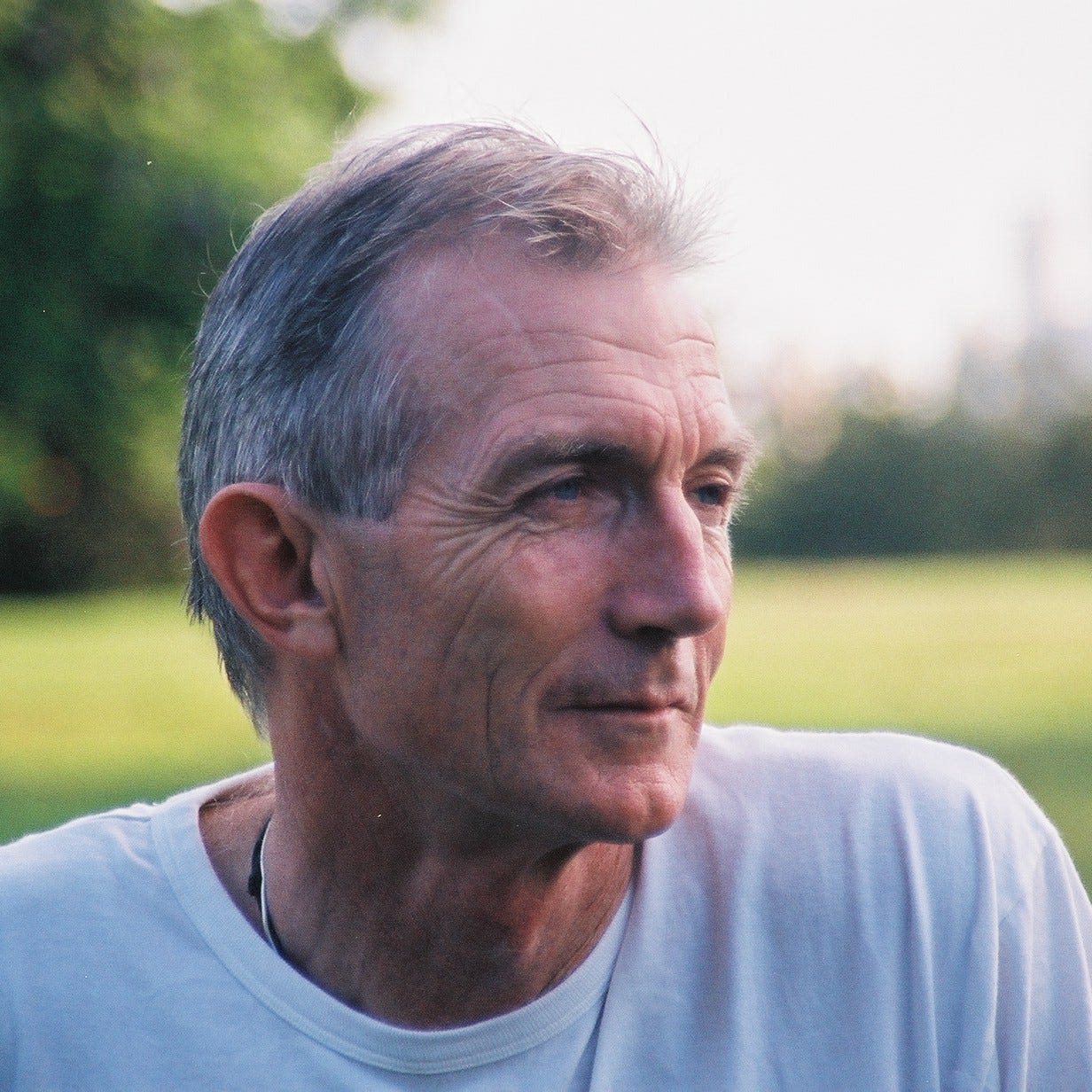 Puivert’s Substack