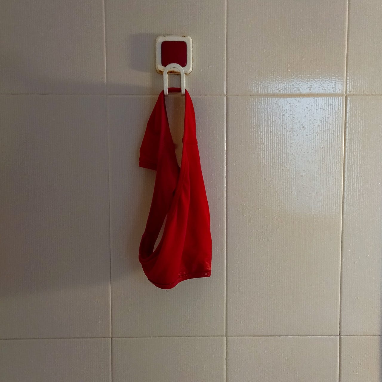 les coses i les paraules