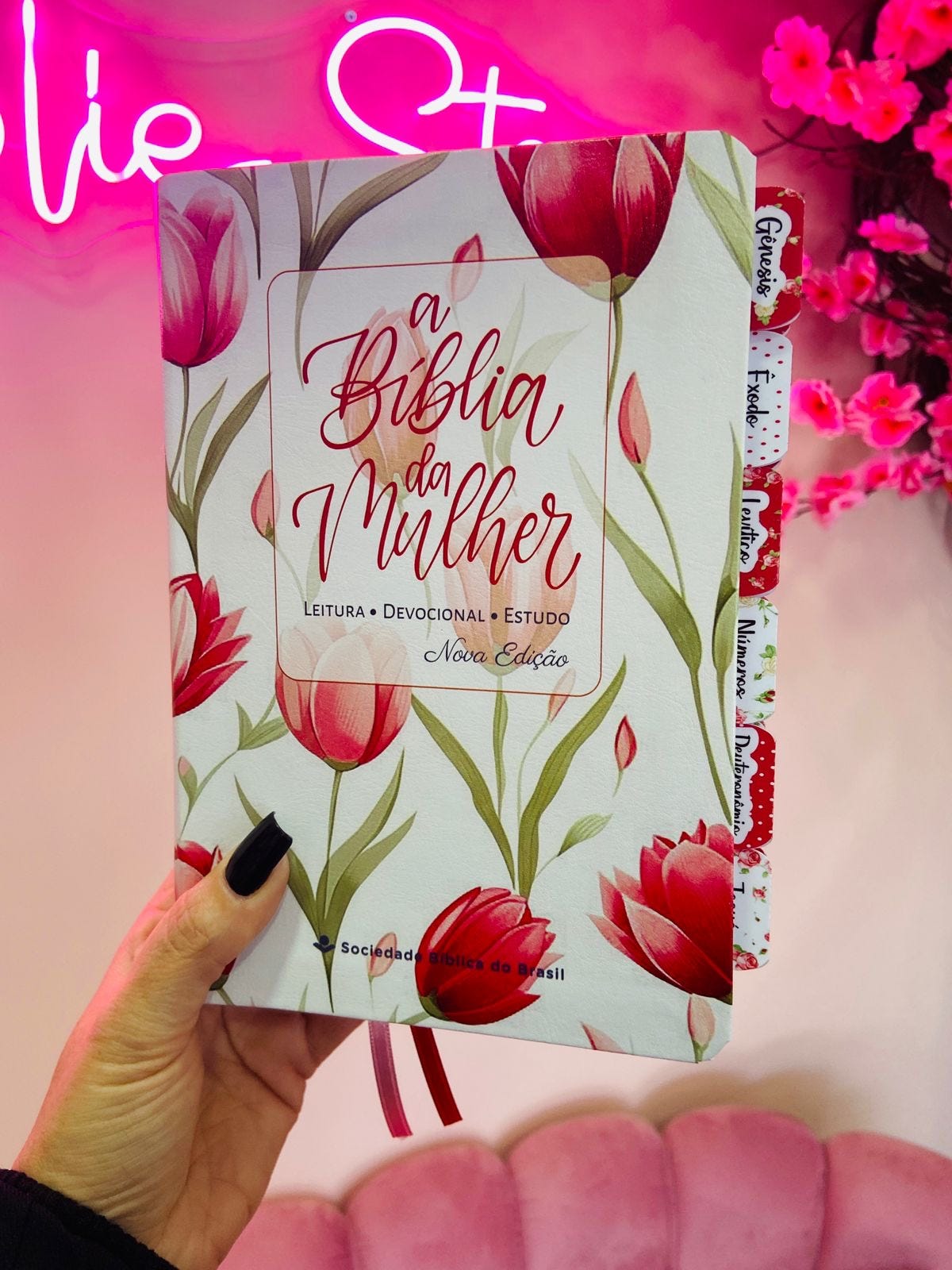 A Bíblia da Mulher NAA Nova Edição Tamanho portátil: Nova Almeida  Atualizada (NAA) COM ABAS