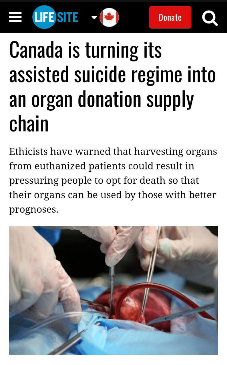 A webpage screenshot with a headline reading "Canada is turning its assisted suicide regime into an organ donation supply chain." Below the headline, text discusses ethical concerns about organ harvesting from euthanized patients. An image shows two gloved hands holding surgical instruments near a human heart during a transplant procedure. A webpage screenshot with a headline reading "Canada is turning its assisted suicide regime into an organ donation supply chain." Below the headline, text discusses ethical concerns about organ harvesting from euthanized patients. An image shows two gloved hands holding surgical instruments near a human heart during a transplant procedure.
