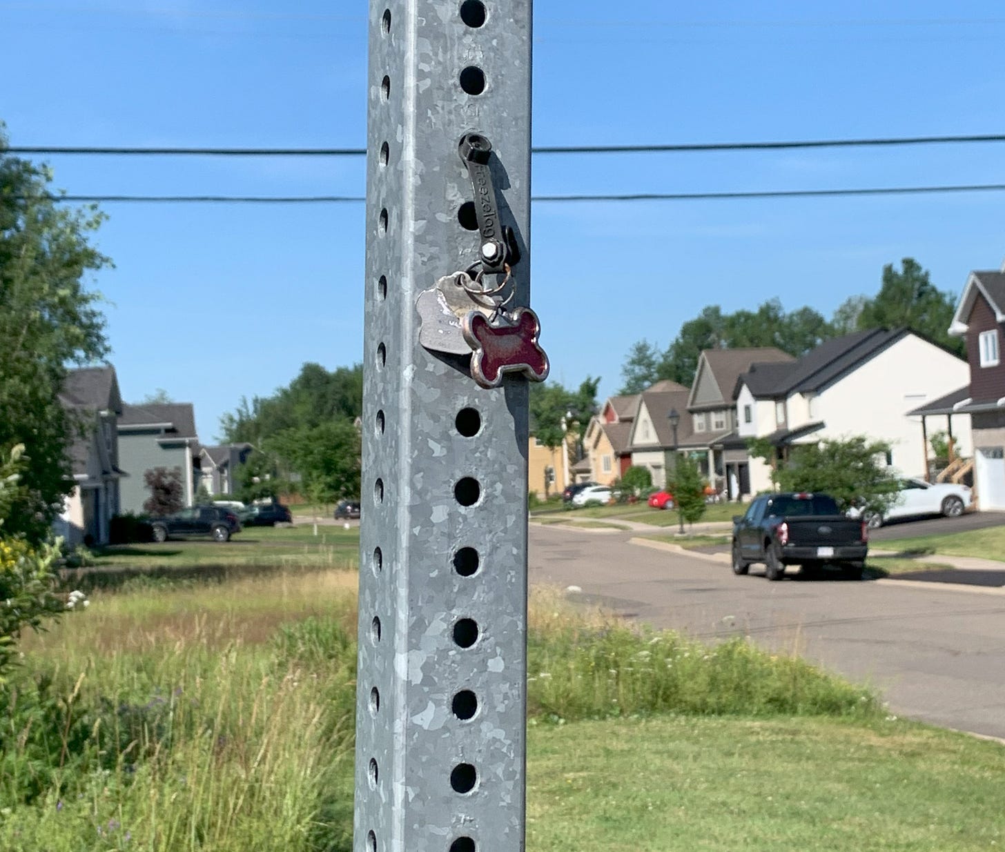 Dog tags hanging from post in neighborhood