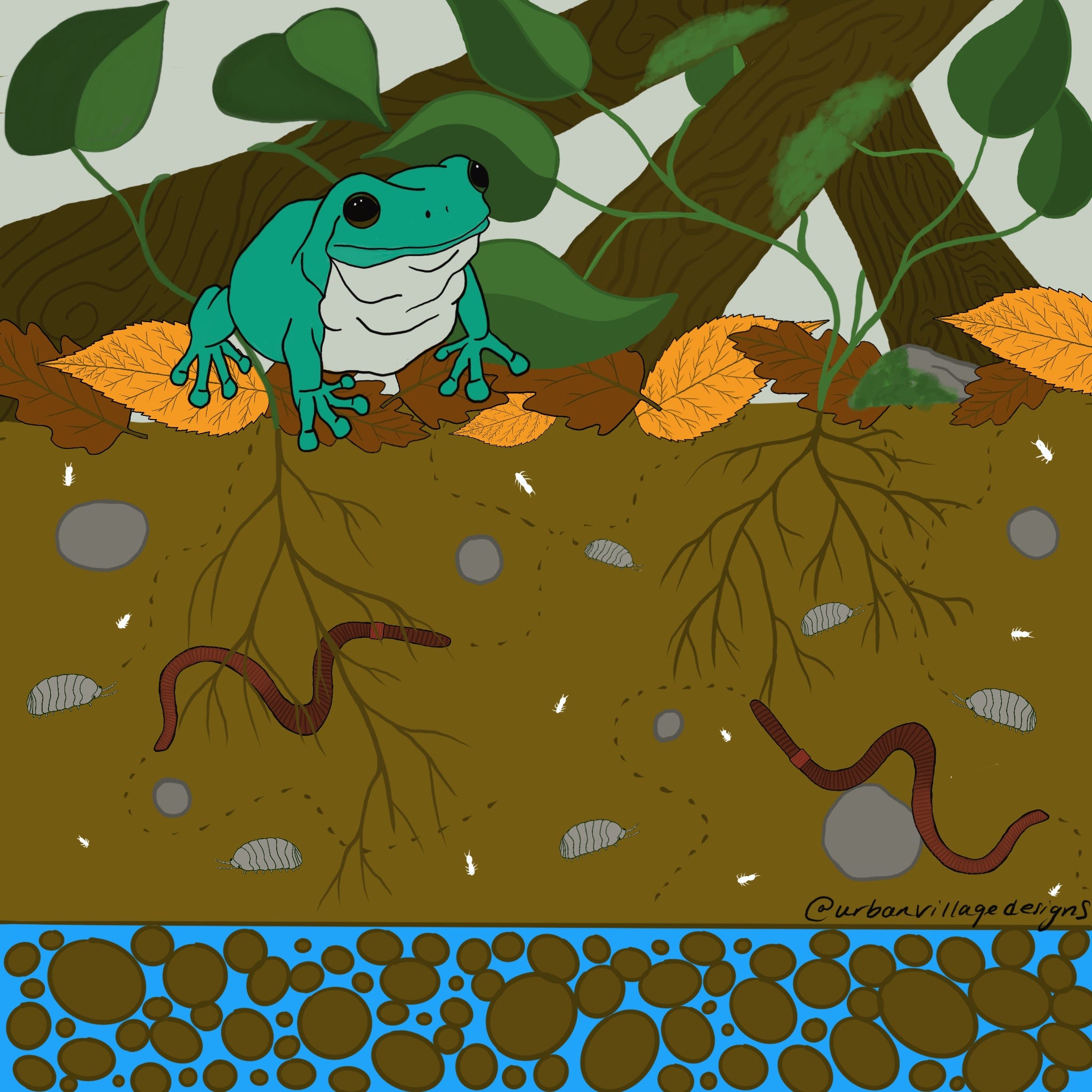 Learning Ecosystems with Bio-Active Vivariums
