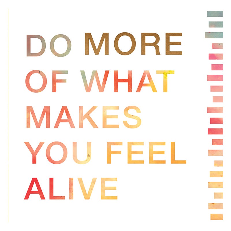Do More of What Makes You Feel Alive Book - Franklin Planner