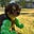 bornfromabove's avatar