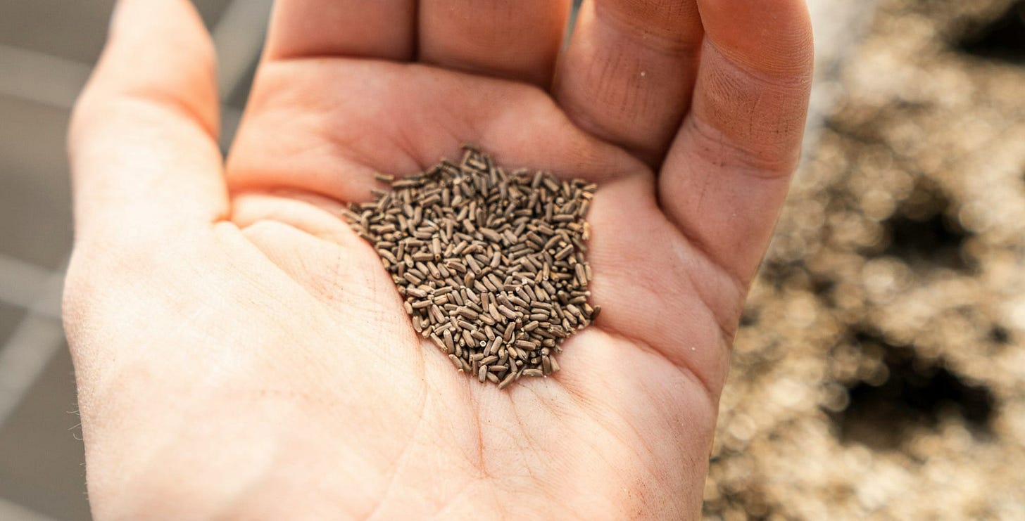 silver glittered heart on persons hand silver glittered heart on persons hand