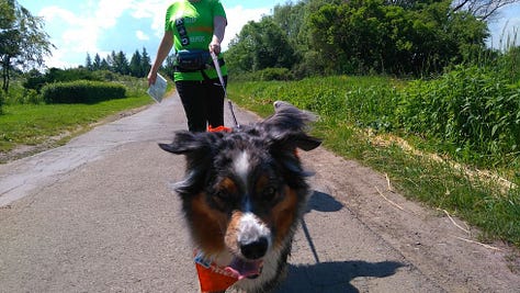 Dogtrekking 2016-1018