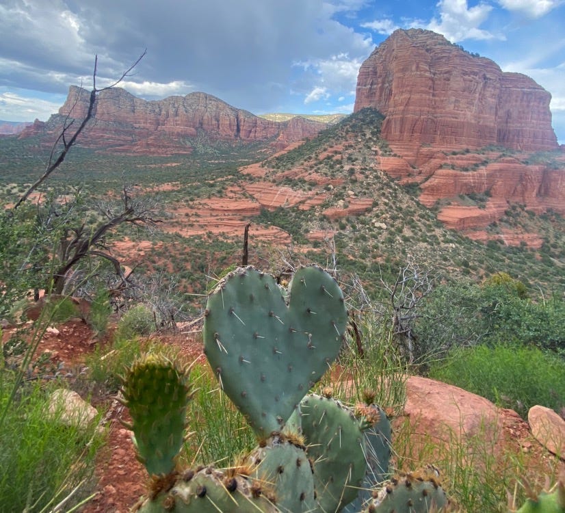 Comprehend-able Nonsense