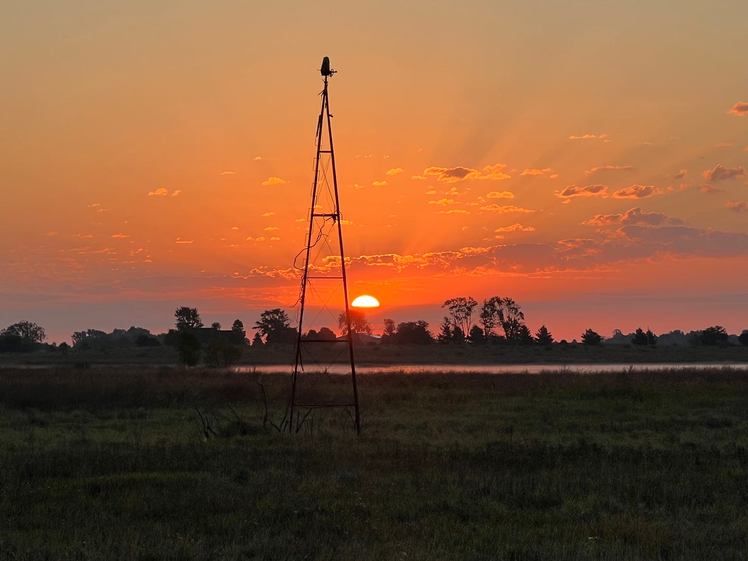 A vivid orange sunrise over a field