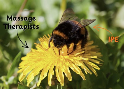 a bee standing on top of a dandelion