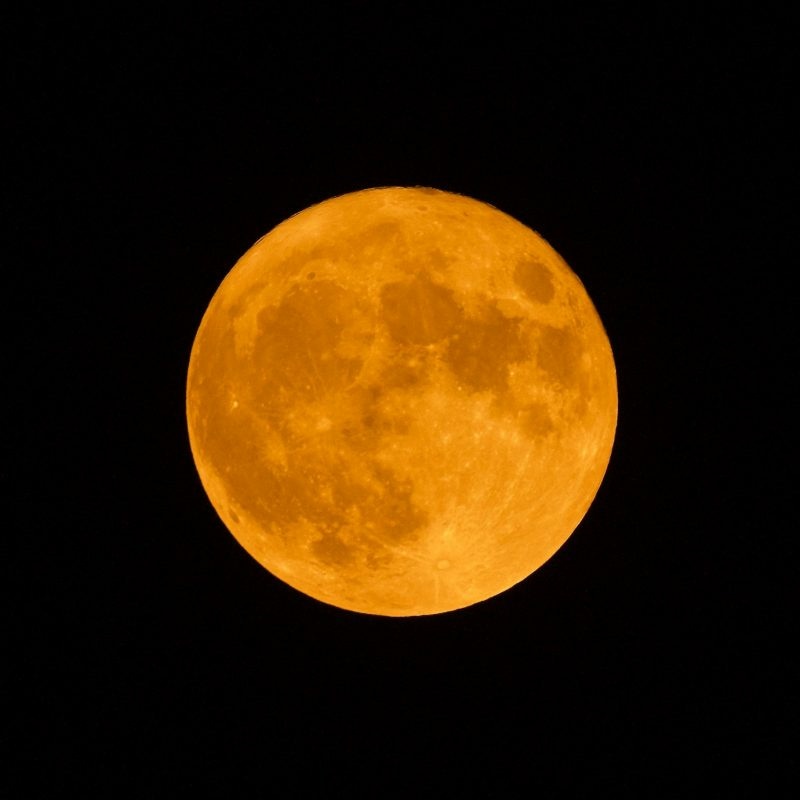 Grapefruit Moon